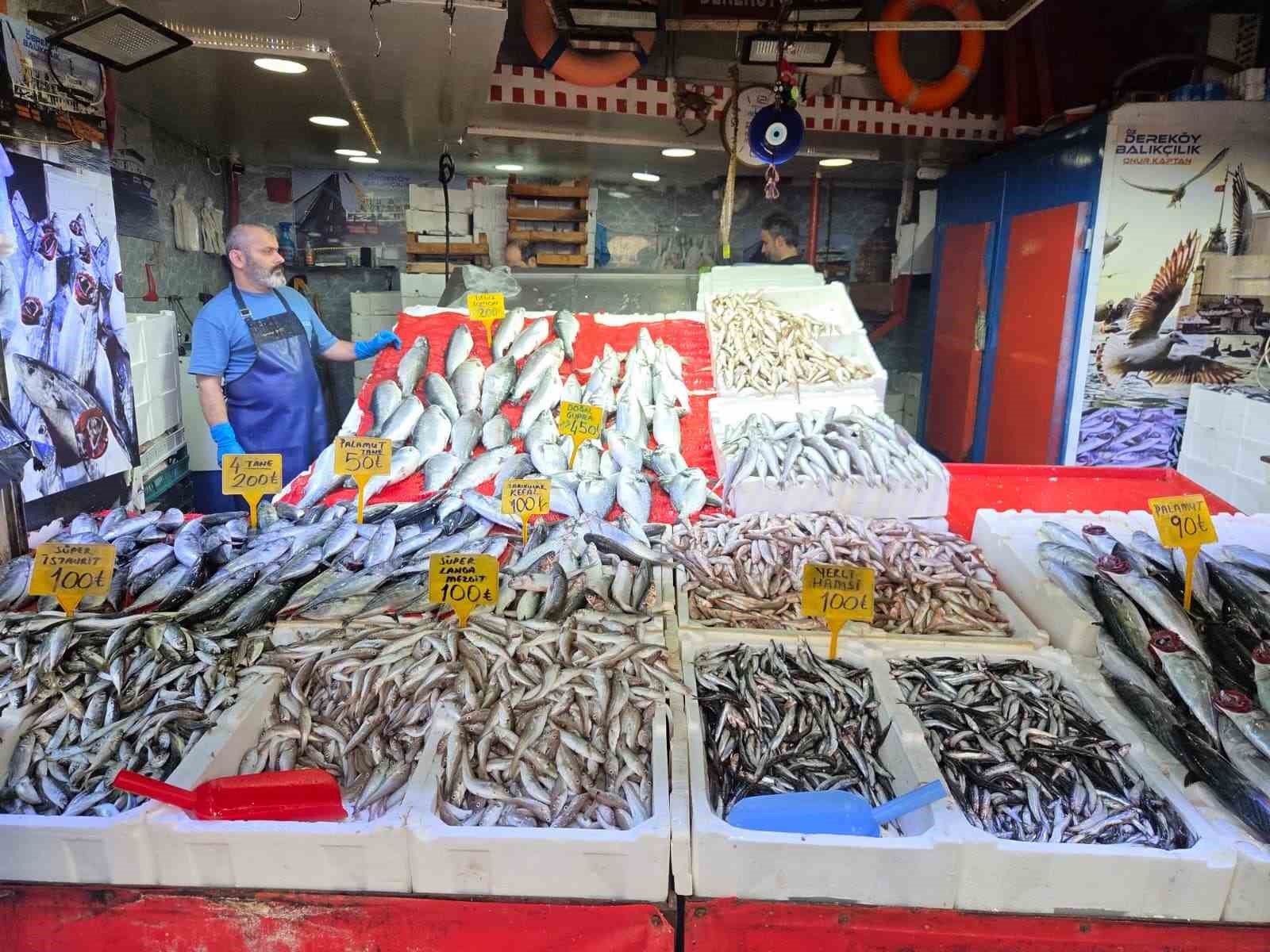 Palamut bedavadan biraz daha pahalı: Tanesi 50 TL