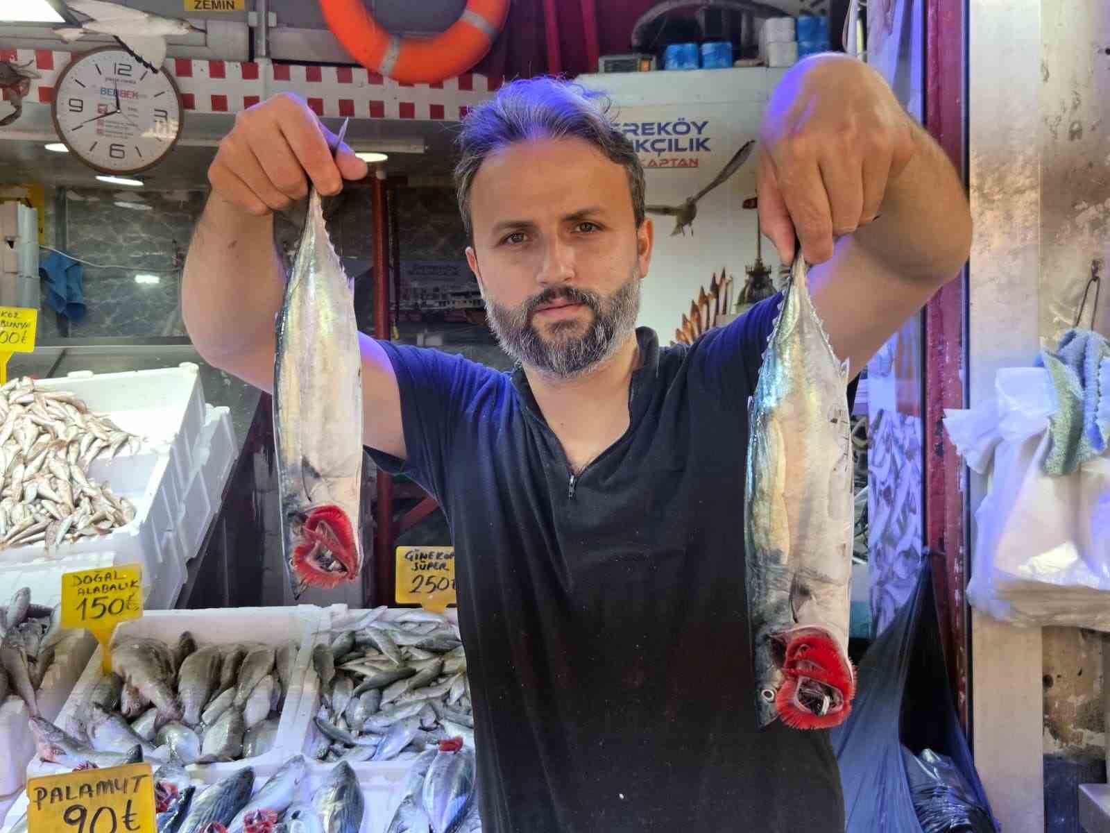 Palamut bedavadan biraz daha pahalı: Tanesi 50 TL