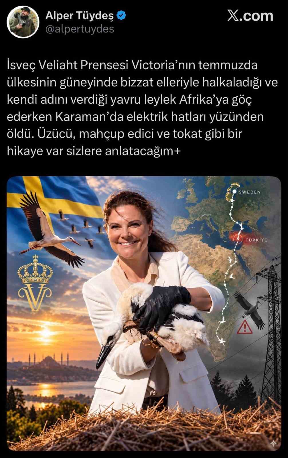İsveç Prensesi Victoria’nın adını verdiği leylek Karaman’da ölü bulundu
