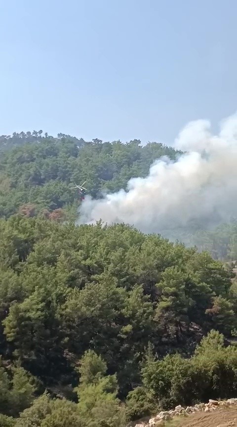 Soğutma çalışmalarının sürdüğü ormanlık alanda yeniden yangın çıktı