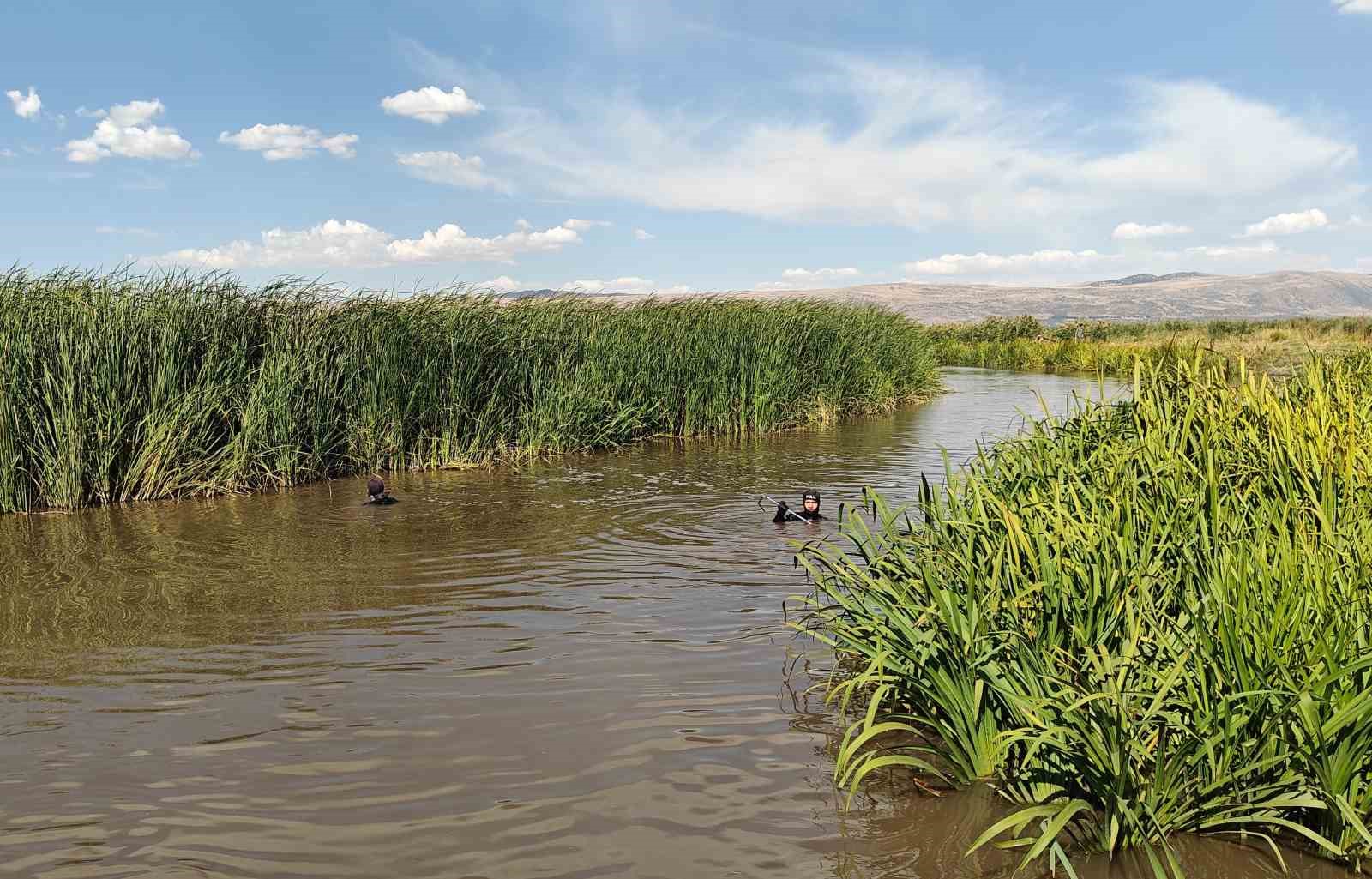 Muş’ta kayıp Suat Balkaya için Karasu Nehri’nde arama