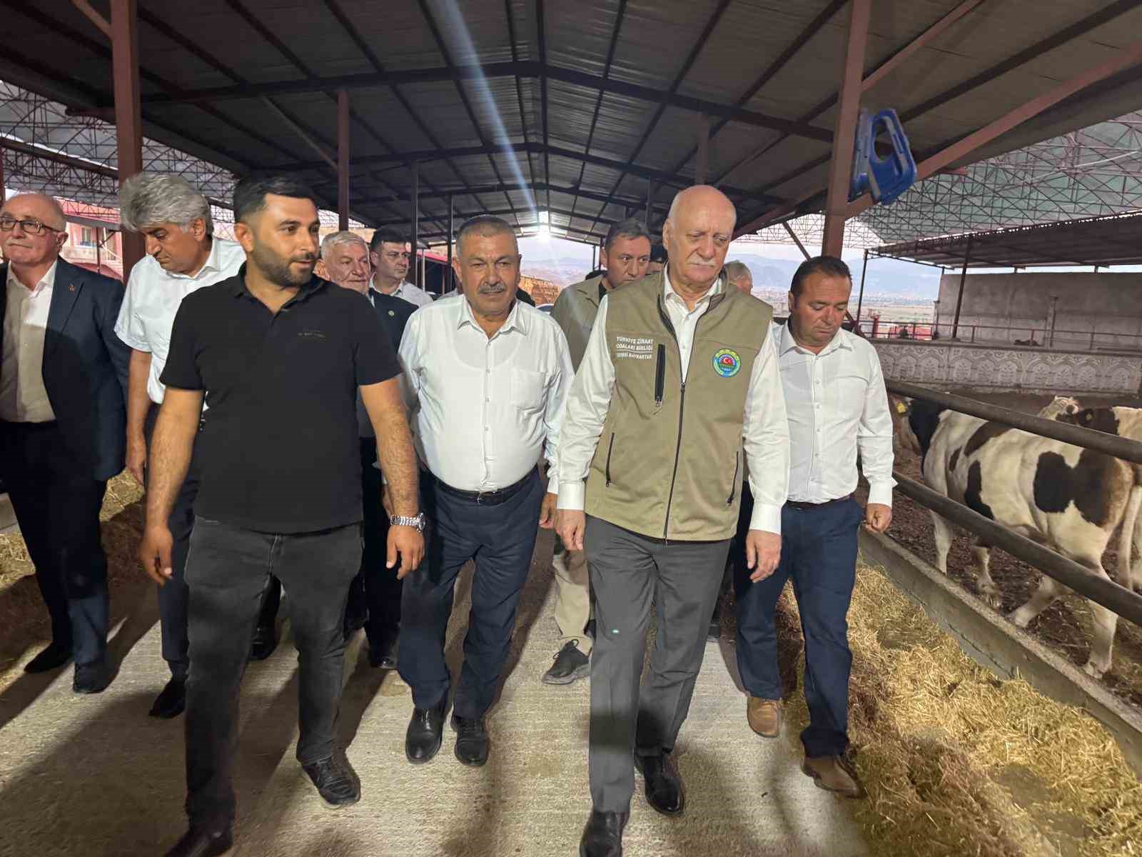 TZOB Genel Başkanı Şemsi Bayraktar, Akin’de ay çekirdeği hasadına katıldı