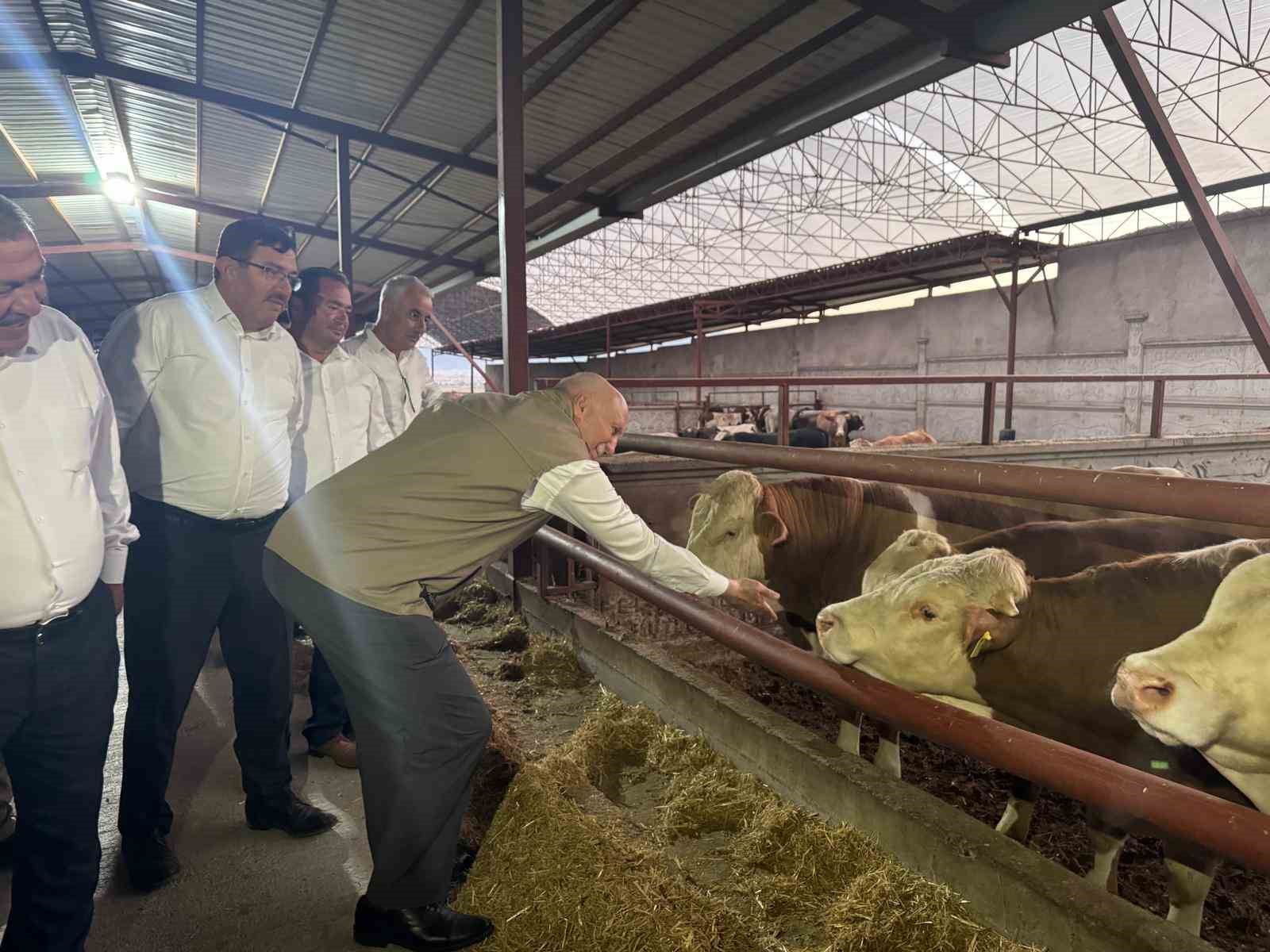TZOB Genel Başkanı Şemsi Bayraktar, Akin’de ay çekirdeği hasadına katıldı