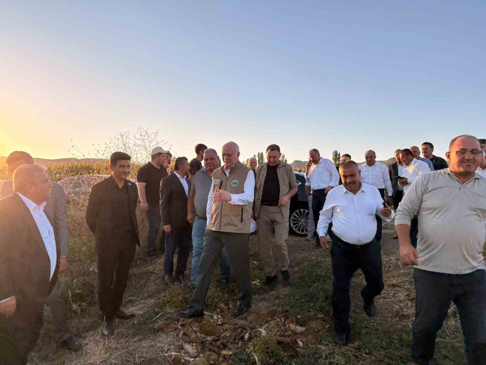 TZOB Genel Başkanı Şemsi Bayraktar, Akin’de ay çekirdeği hasadına katıldı