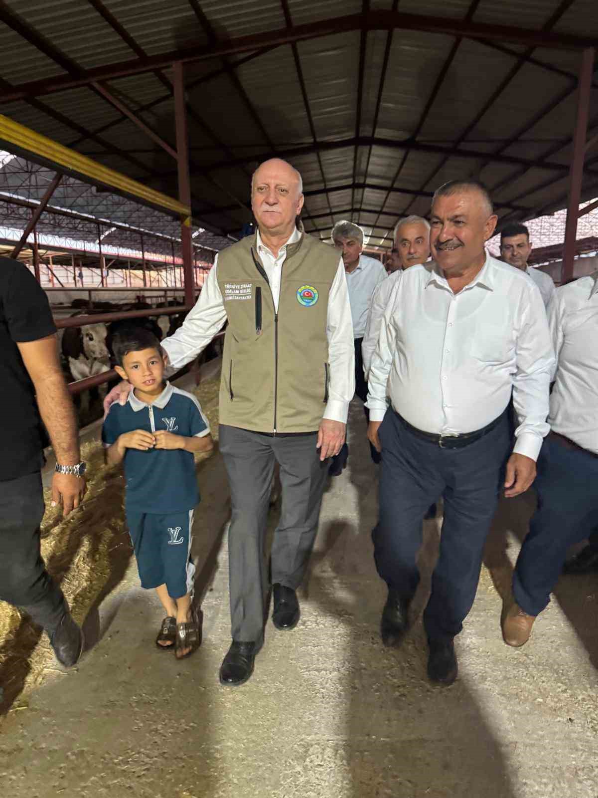 TZOB Genel Başkanı Şemsi Bayraktar, Akin’de ay çekirdeği hasadına katıldı