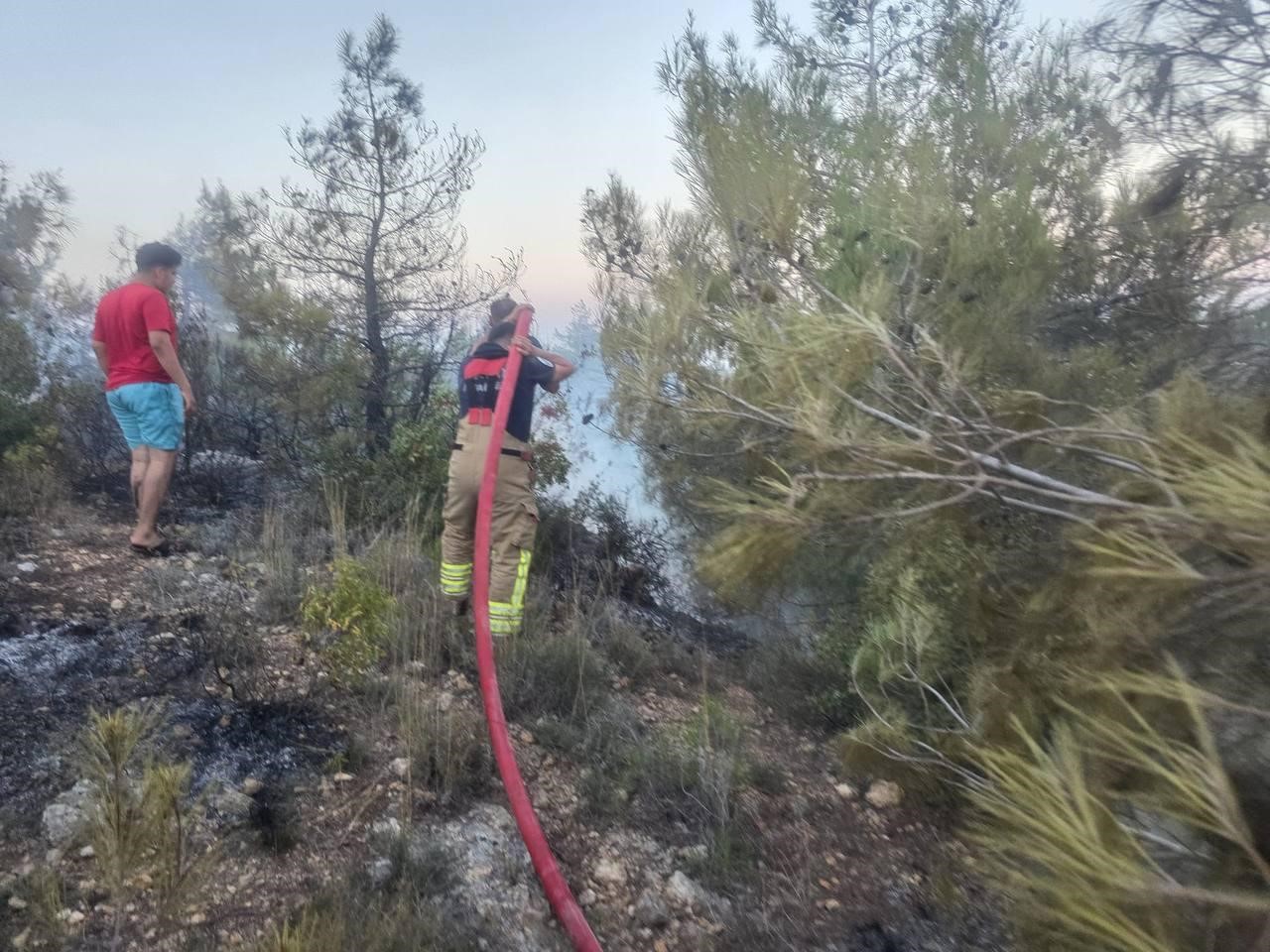 Hatay’da orman yangını çıktı