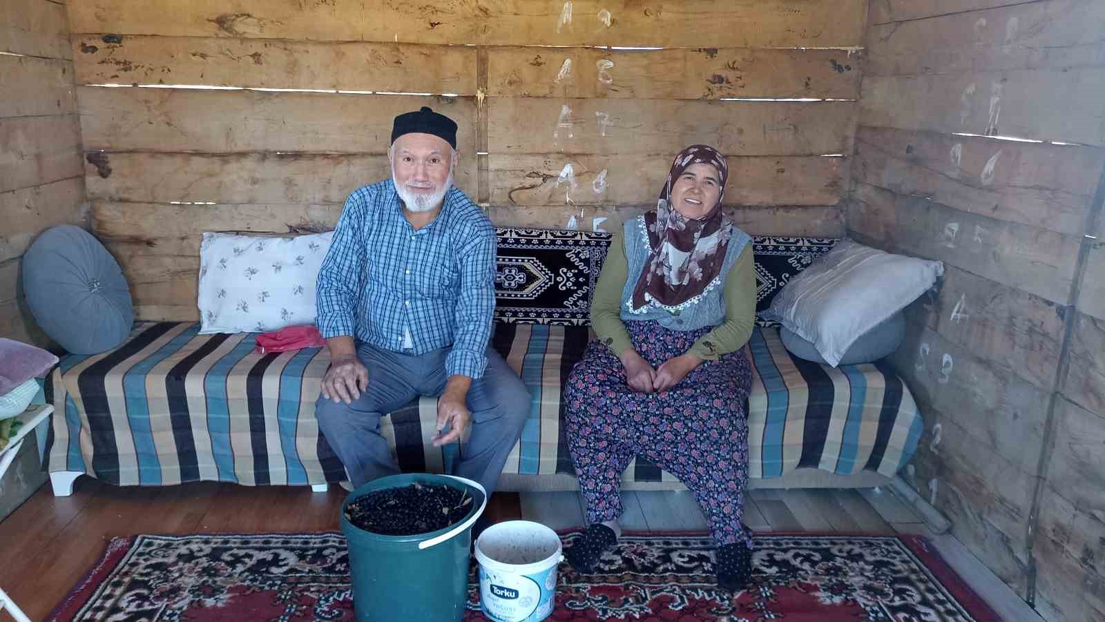 Emekli çiftin aronya bahçesi alternatif tarıma örnek oluyor