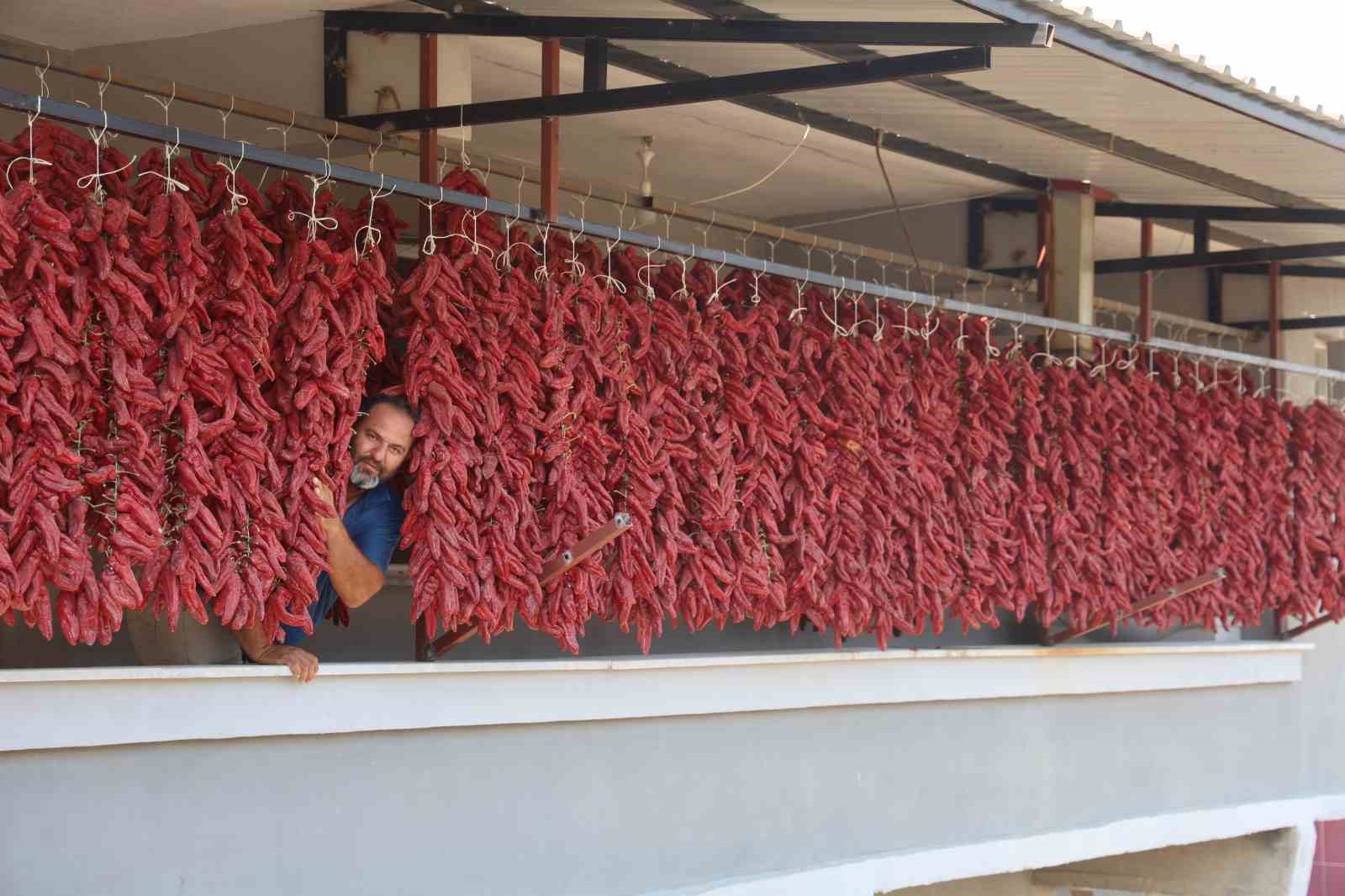 Kavurucu sıcakta tek tek ipe dizilen dolmalık acı biberler, mahalledeki balkonları kırmızıya bürüdü