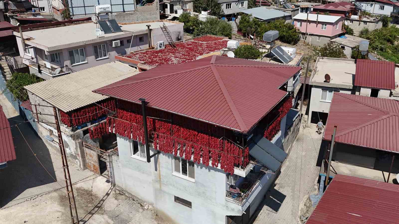 Kavurucu sıcakta tek tek ipe dizilen dolmalık acı biberler, mahalledeki balkonları kırmızıya bürüdü