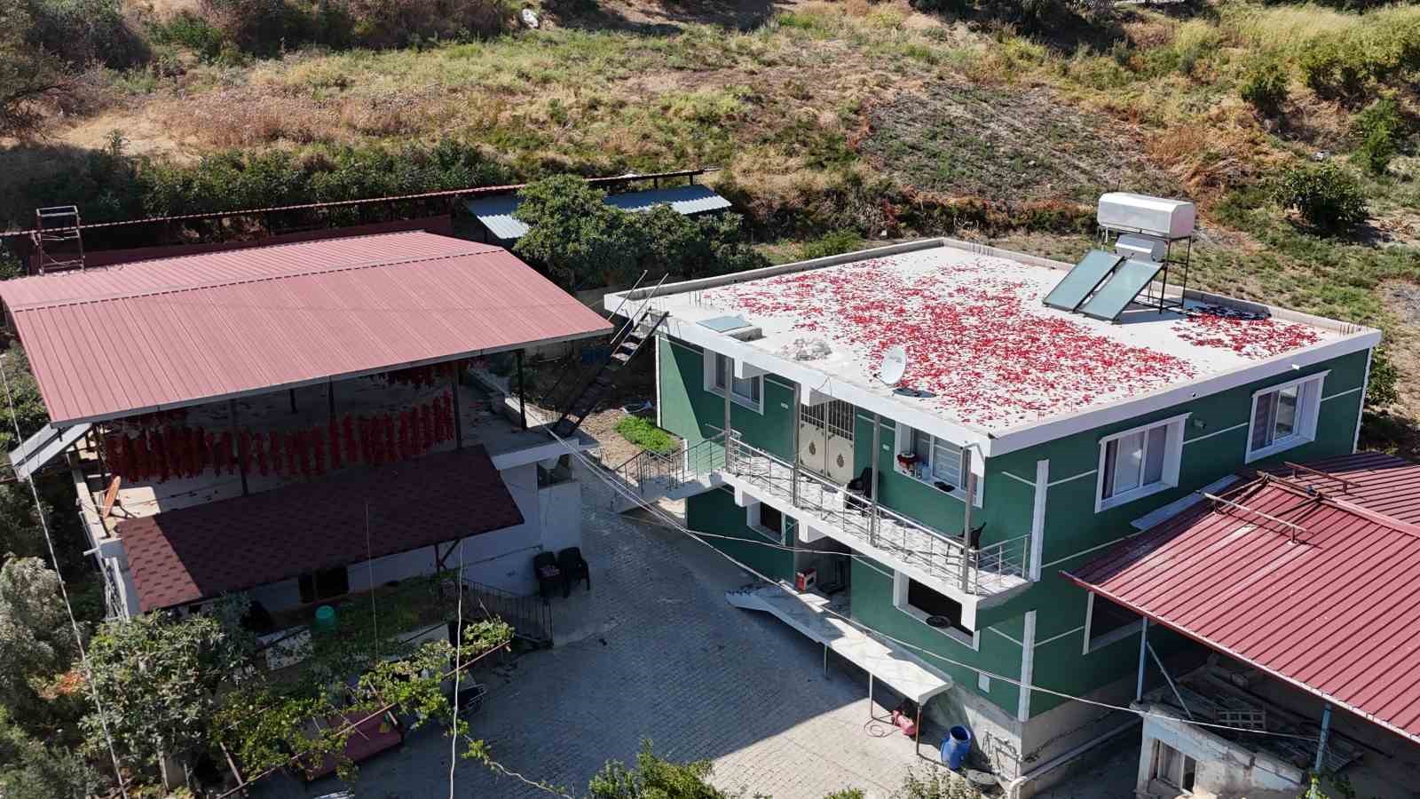Kavurucu sıcakta tek tek ipe dizilen dolmalık acı biberler, mahalledeki balkonları kırmızıya bürüdü