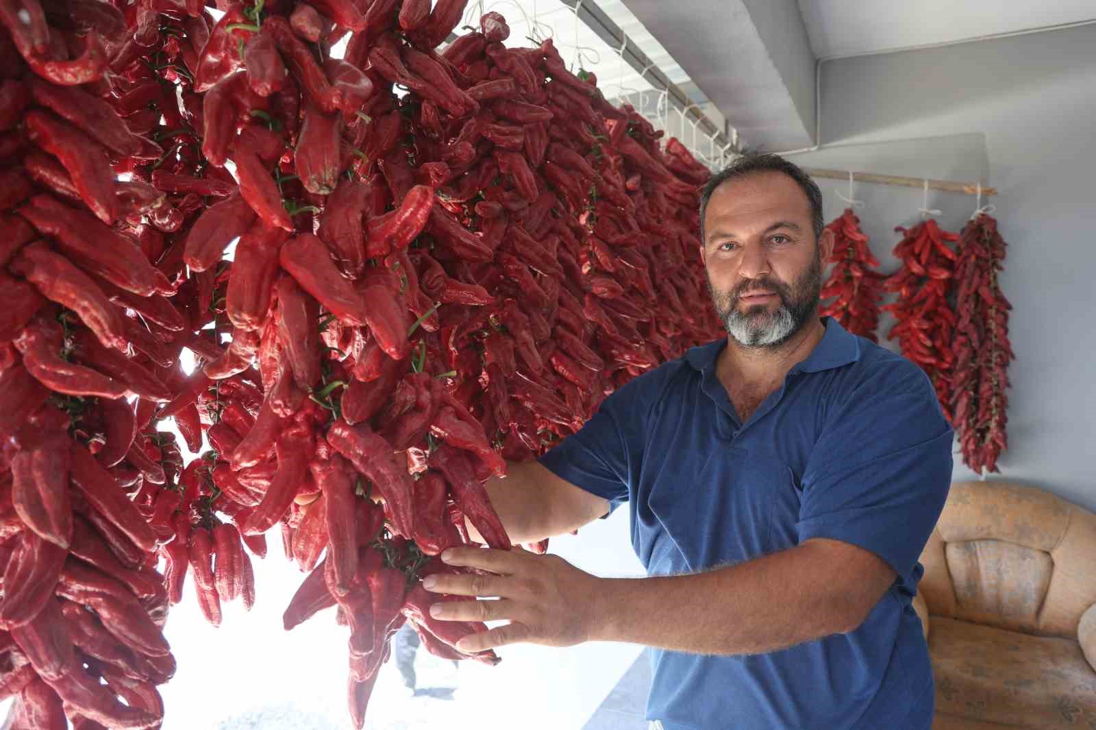 Kavurucu sıcakta tek tek ipe dizilen dolmalık acı biberler, mahalledeki balkonları kırmızıya bürüdü