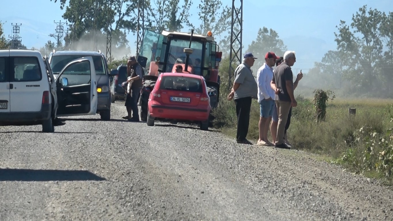 Bafra Ovası’nda 165 bin dekar alanda çeltik hasadı başladı