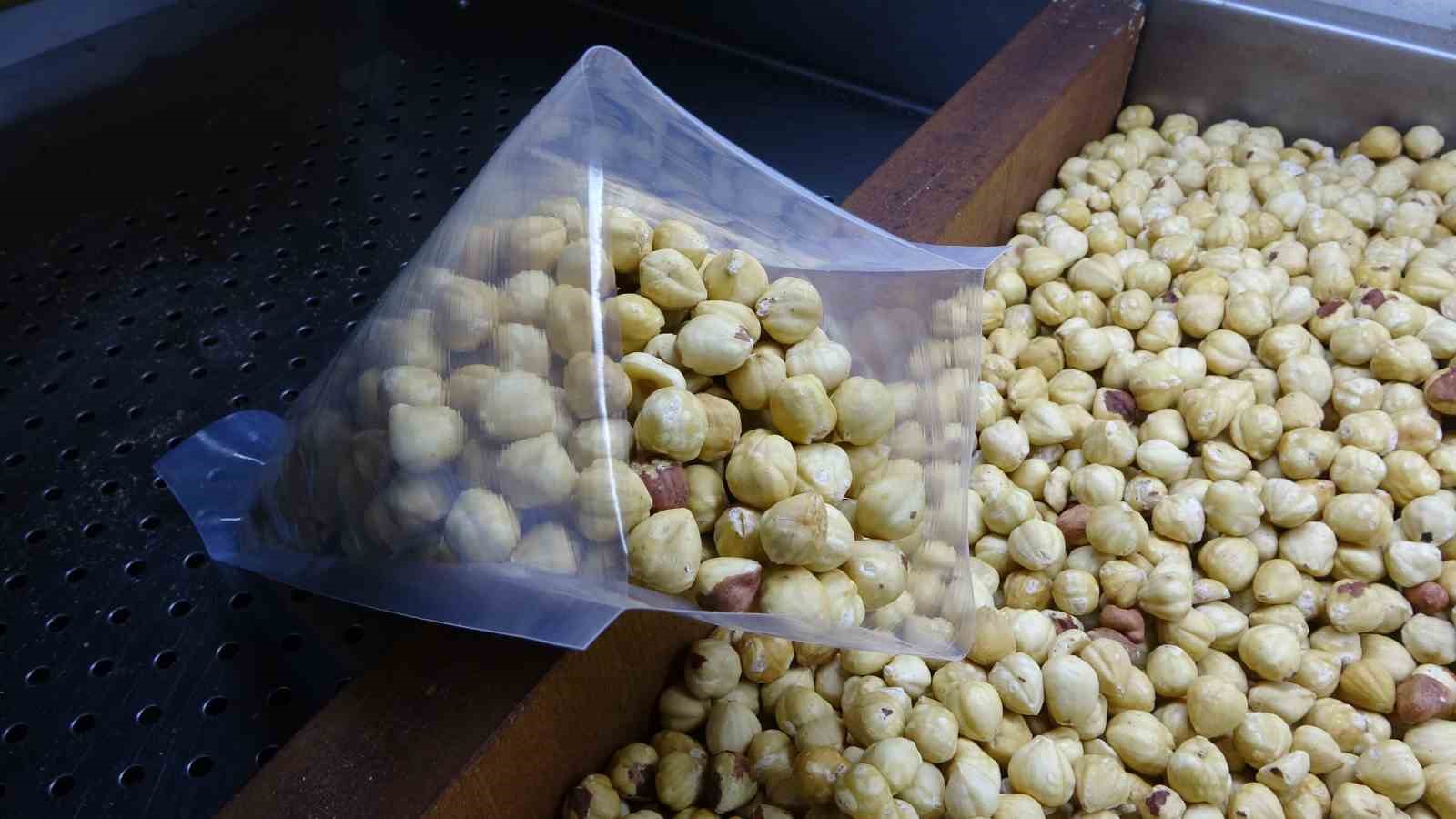 Fındıkta hasat sezonu tamamlandı; kırım, kavurma ve paketleme çalışmaları başladı