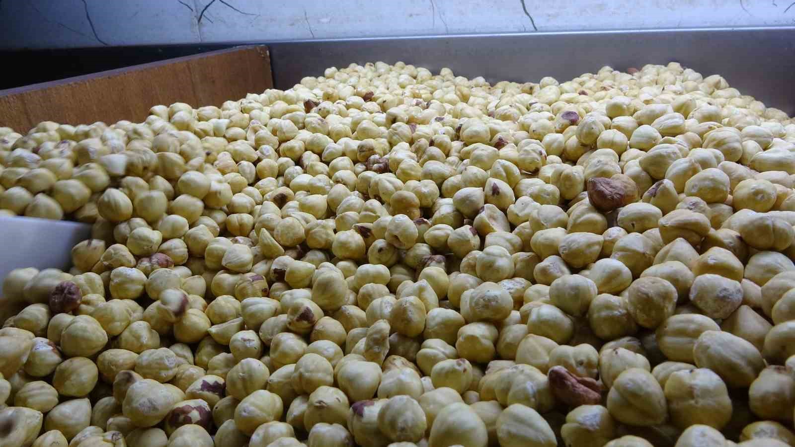 Fındıkta hasat sezonu tamamlandı; kırım, kavurma ve paketleme çalışmaları başladı