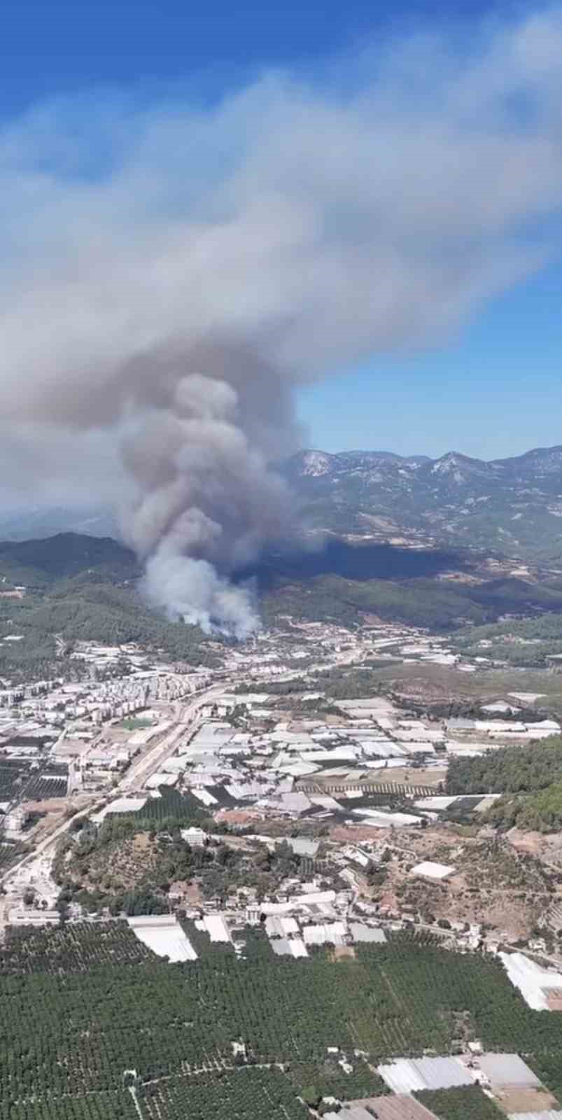 Gözaltına alınan yangın şüphelisi tutuklandı