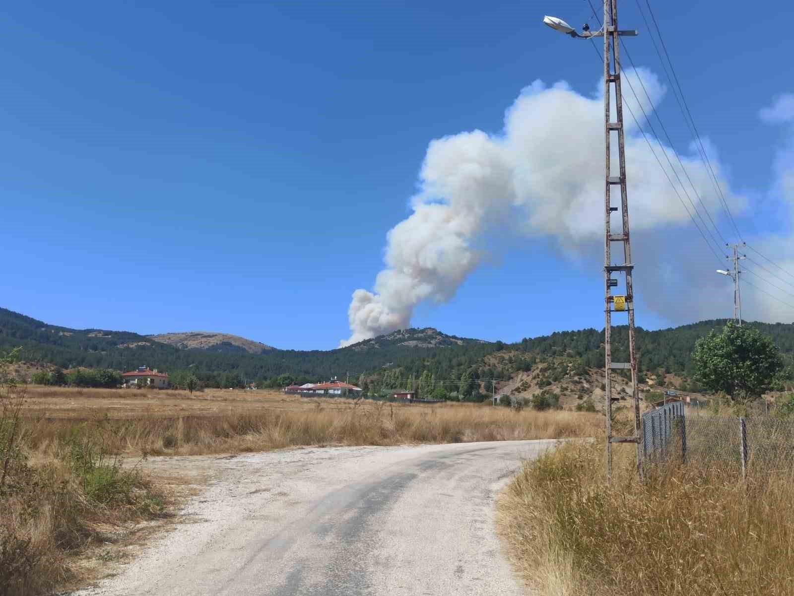 Çankırı-Ankara sınırındaki orman yangınına havadan ve karadan müdahale ediliyor