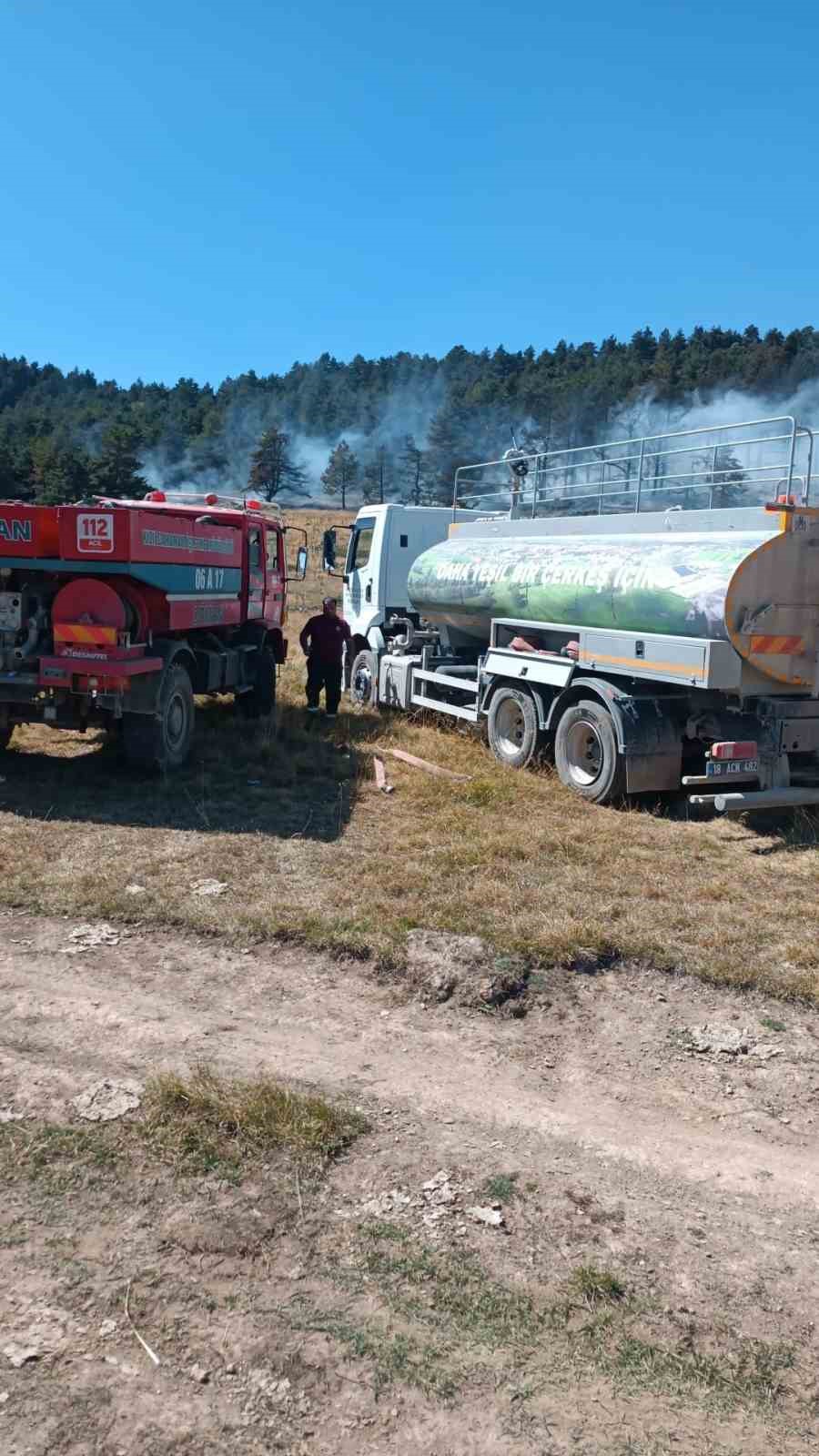 Çankırı-Ankara sınırındaki orman yangınına havadan ve karadan müdahale ediliyor