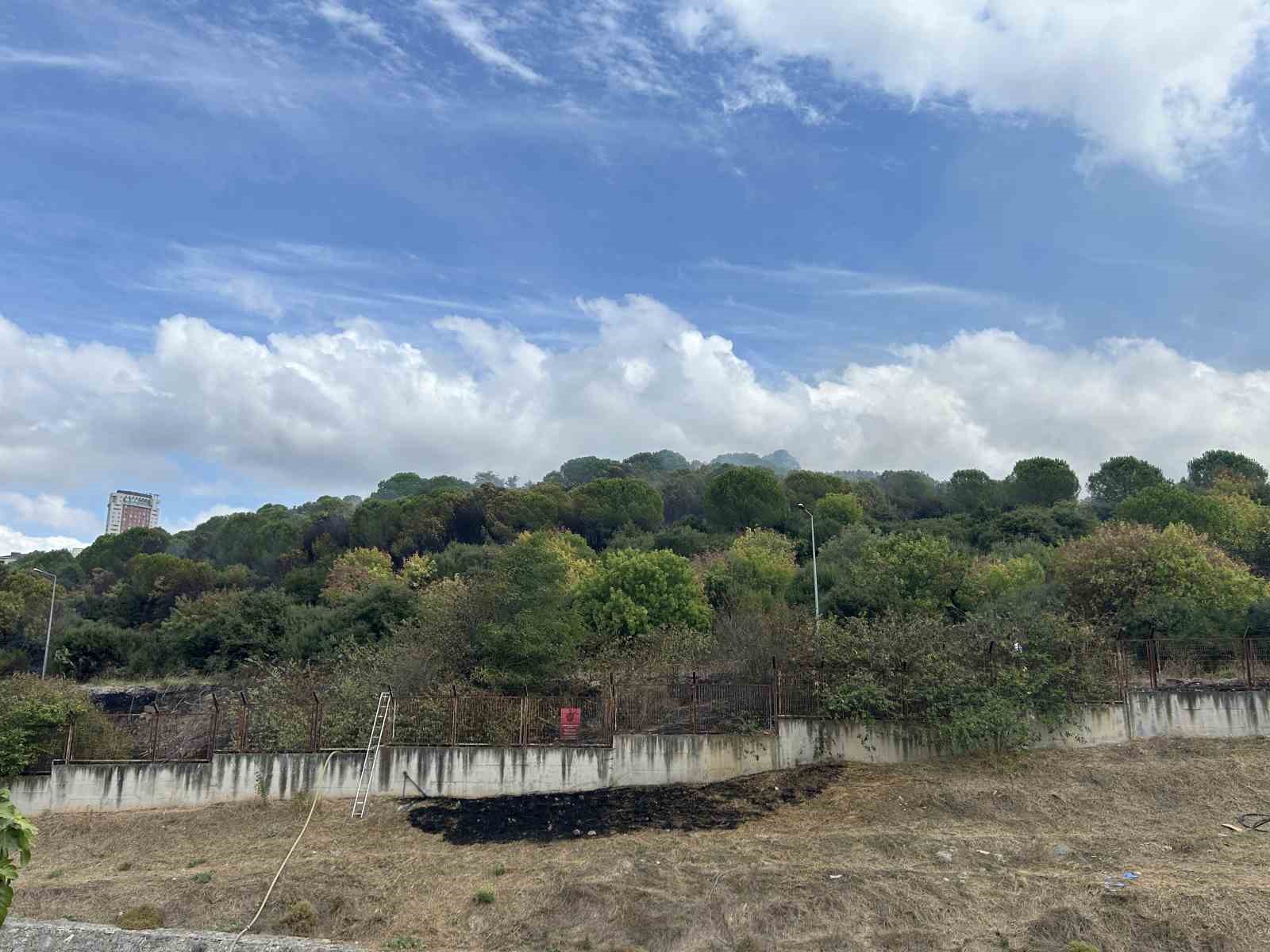 Maltepe’de ormanlık alanda korkutan yangın: Alevler Kenan Evren Kışlası’na sıçradı