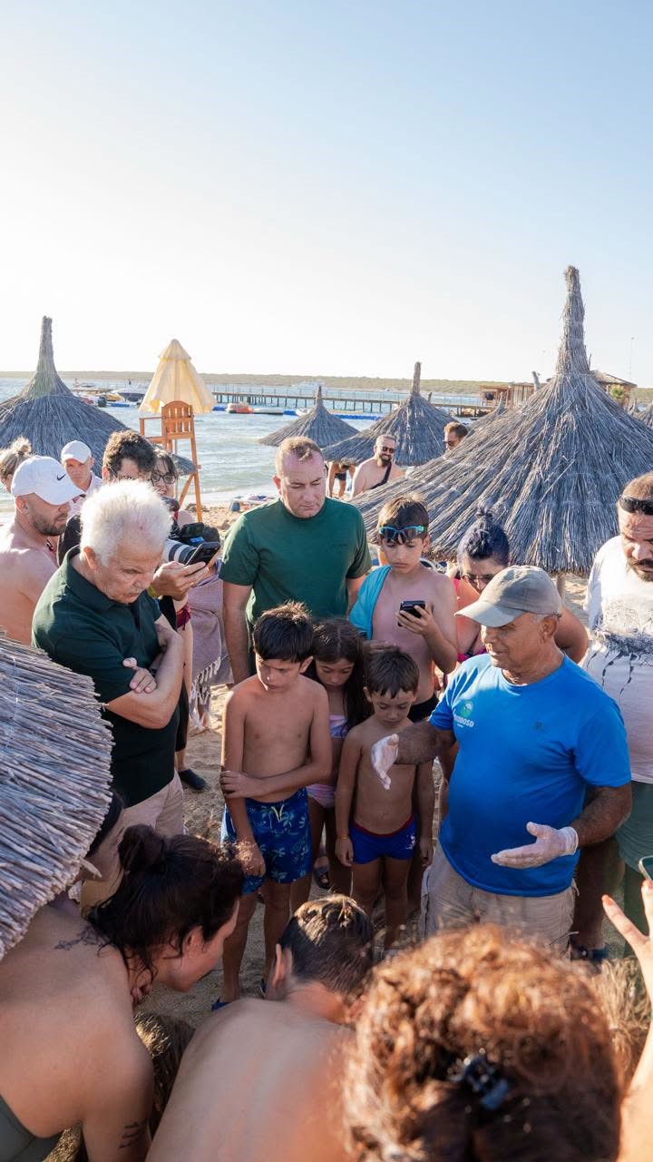 Didim’de Caretta caretta yuvasından 82 yavru denize ulaştı