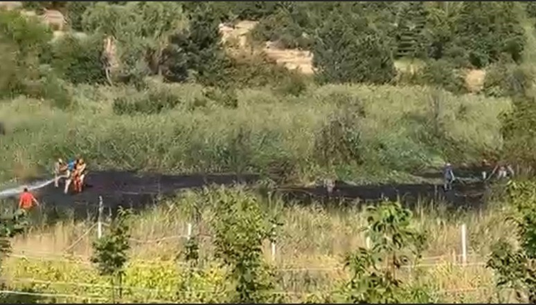 Ziraat yangın ormana ulaşmadan kontrol altına alındı