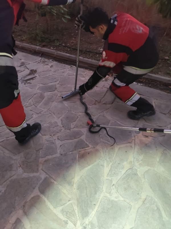 Antakya ve Reyhanlı’da yerleşim yerlerine giren yılanlar yakalandı