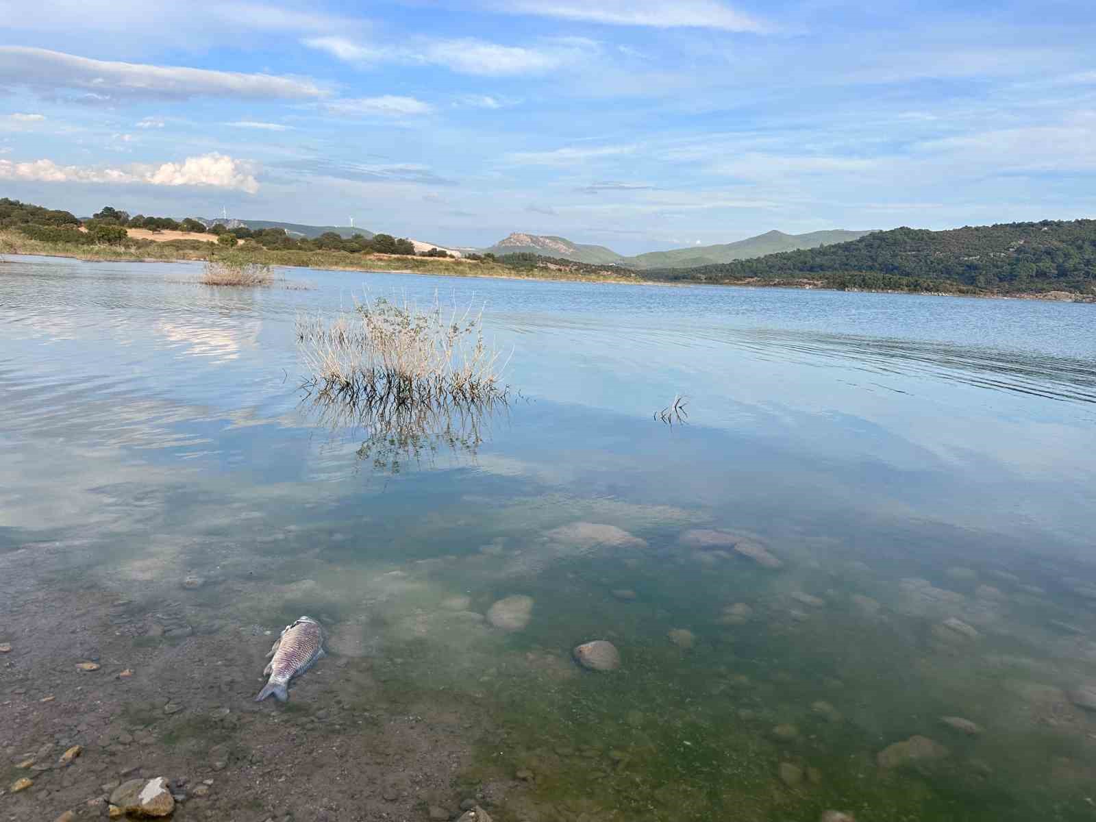 Ayvacık Barajı’nda toplu balık ölümleri