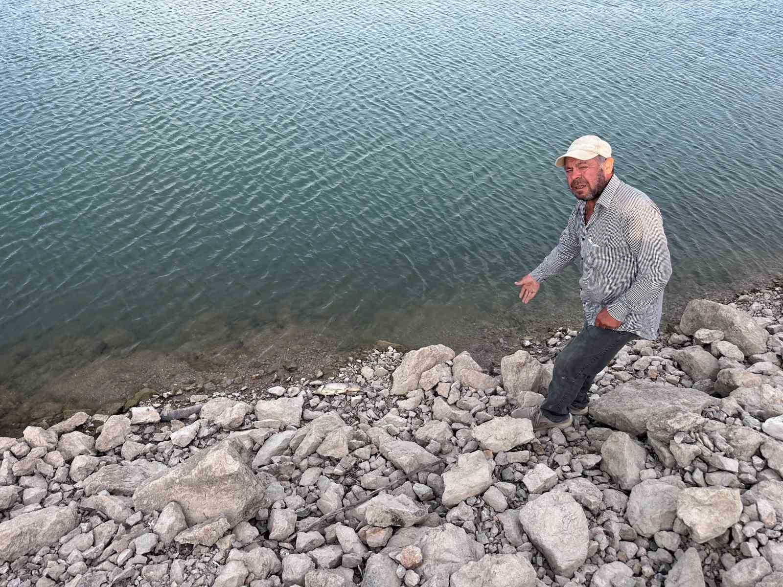 Ayvacık Barajı’nda toplu balık ölümleri