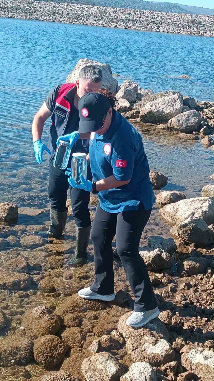 Ayvacık Barajı’nda toplu balık ölümleri
