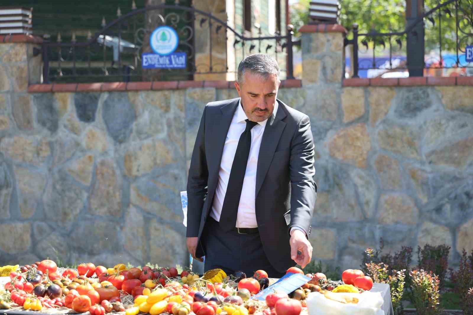 Pursaklar’da bulunan Ata Bahçesi’nde yetiştirilen sebzeler ve meyveler hasat edildi