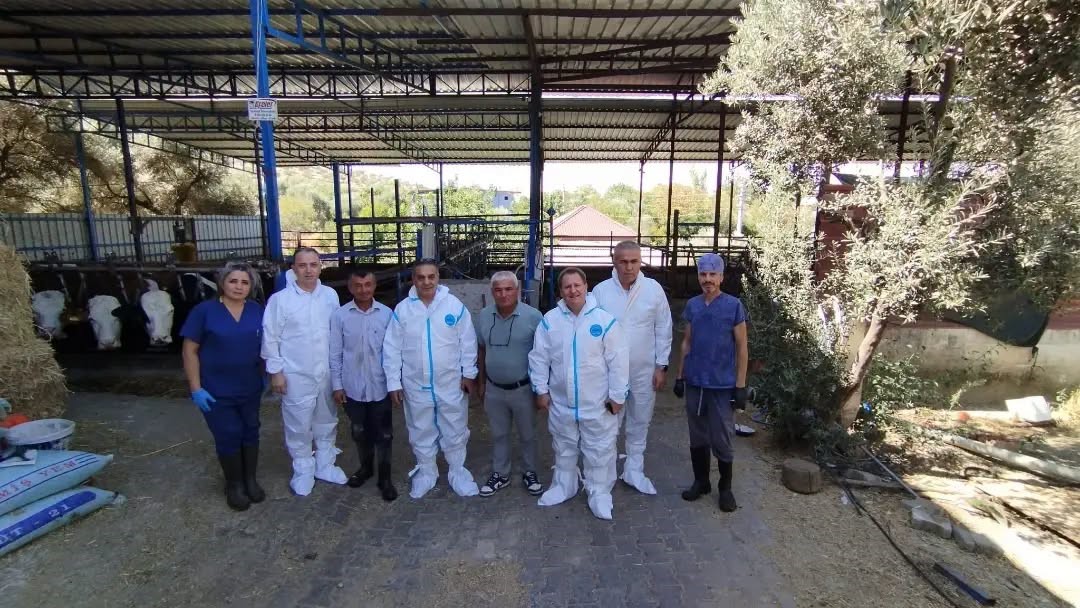 Aydın’da sonbahar şap aşısı kampanyası başladı