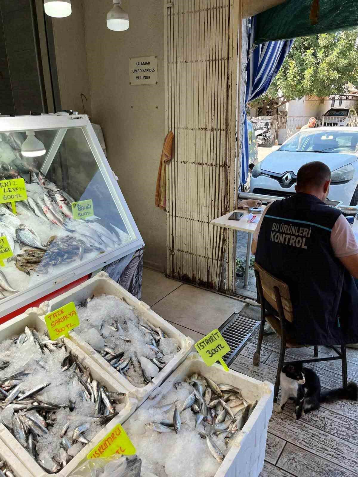 Didim’de su ürünleri satış yerleri denetlendi