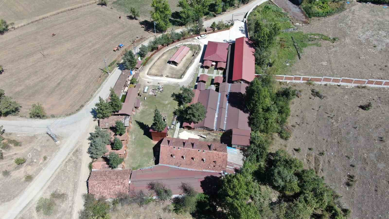 Kadınların kış mesaisi başladı: Elmalar kazanlarda pekmeze dönüşüyor