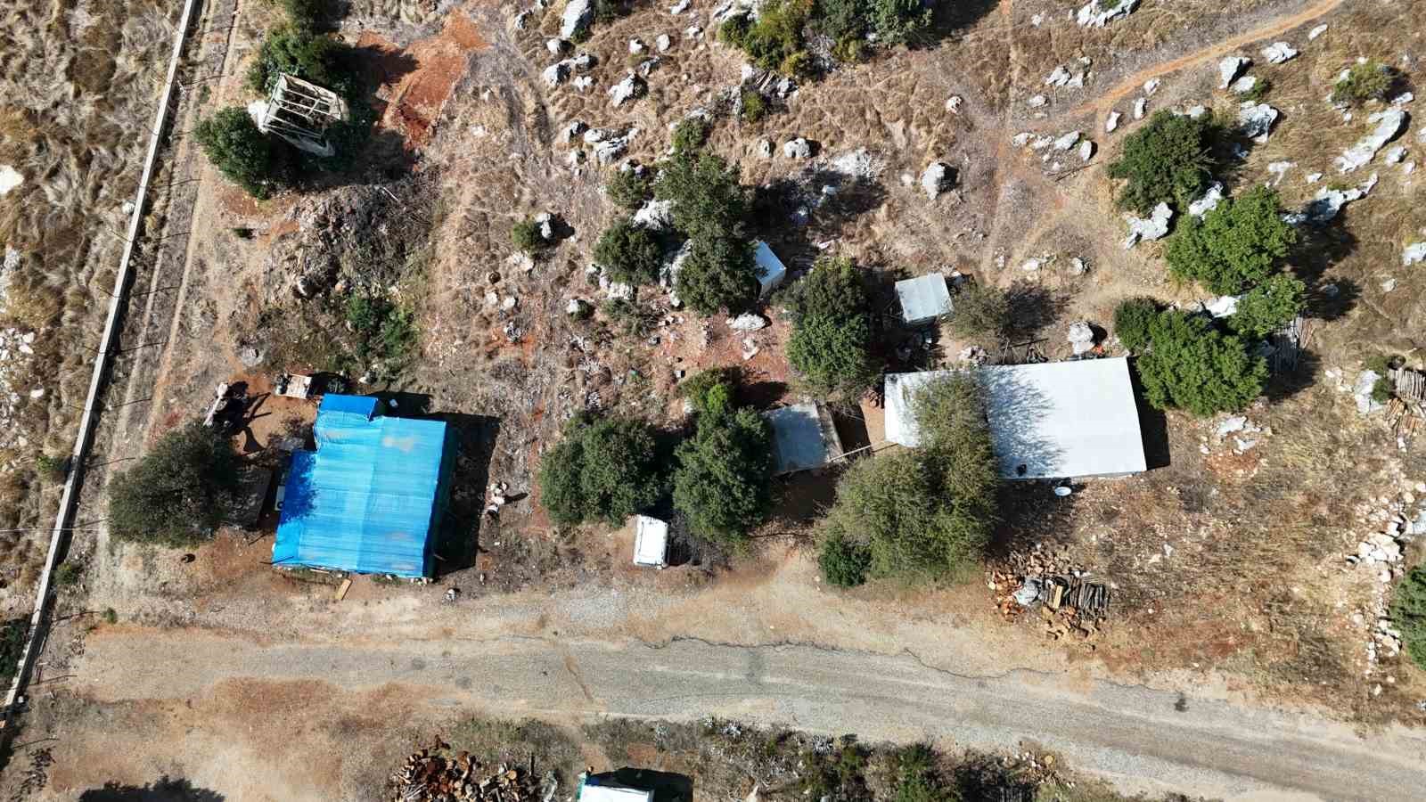 Ağaç keserek ve naylon çadırda ders çalışarak tıp fakültesini kazandı