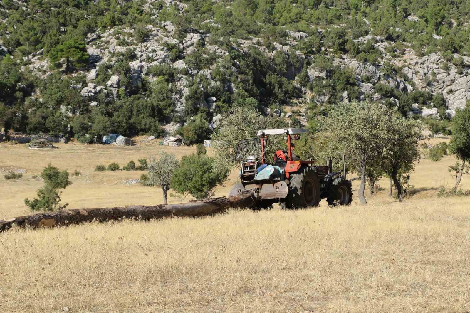 Ağaç keserek ve naylon çadırda ders çalışarak tıp fakültesini kazandı