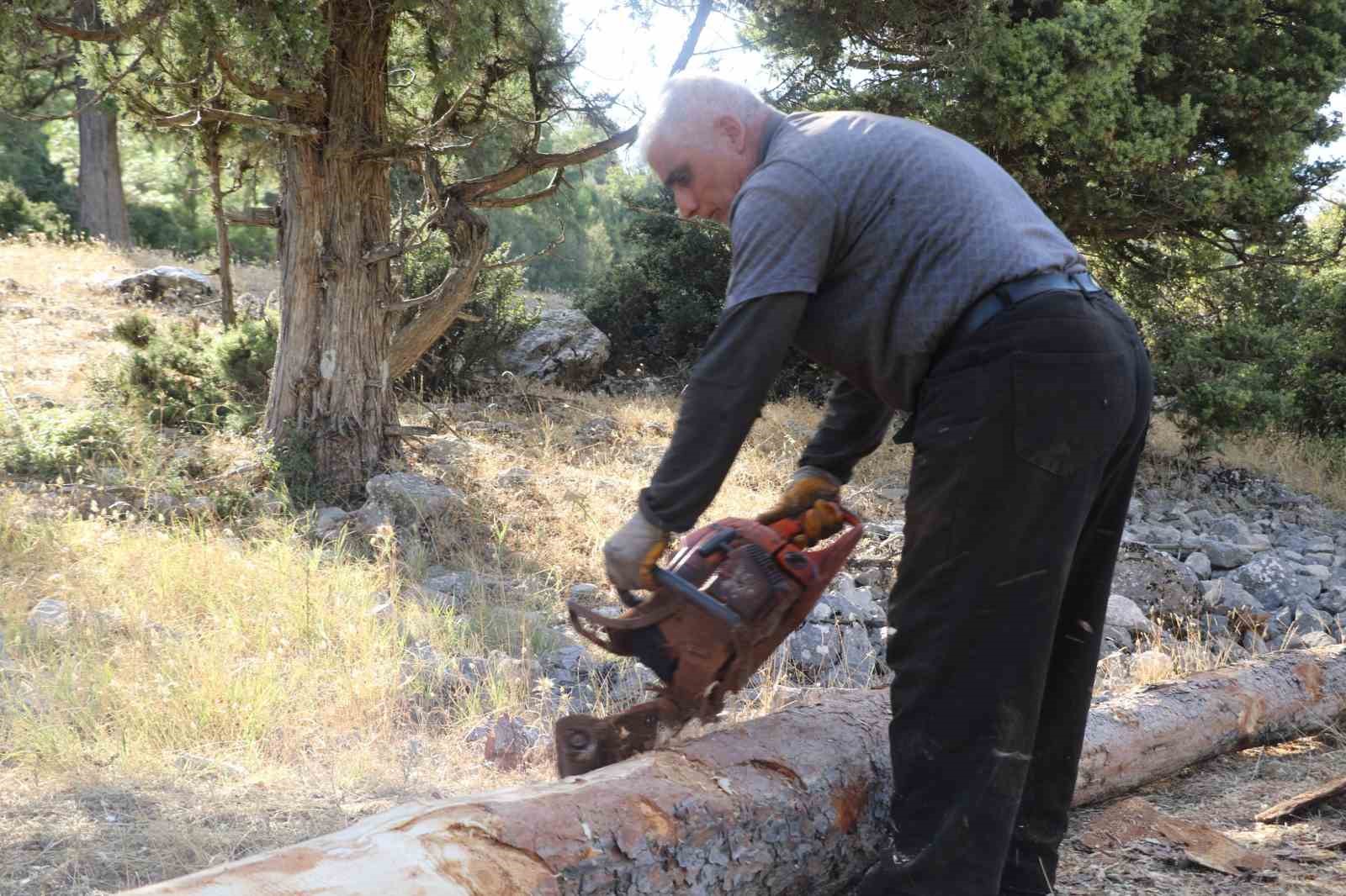 Ağaç keserek ve naylon çadırda ders çalışarak tıp fakültesini kazandı