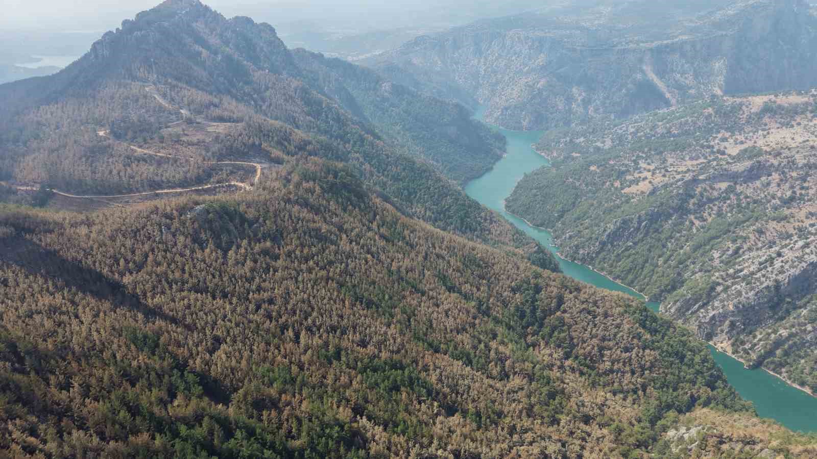 Kozan’daki orman yangınında evleri yanan ailelere konteyner desteği
