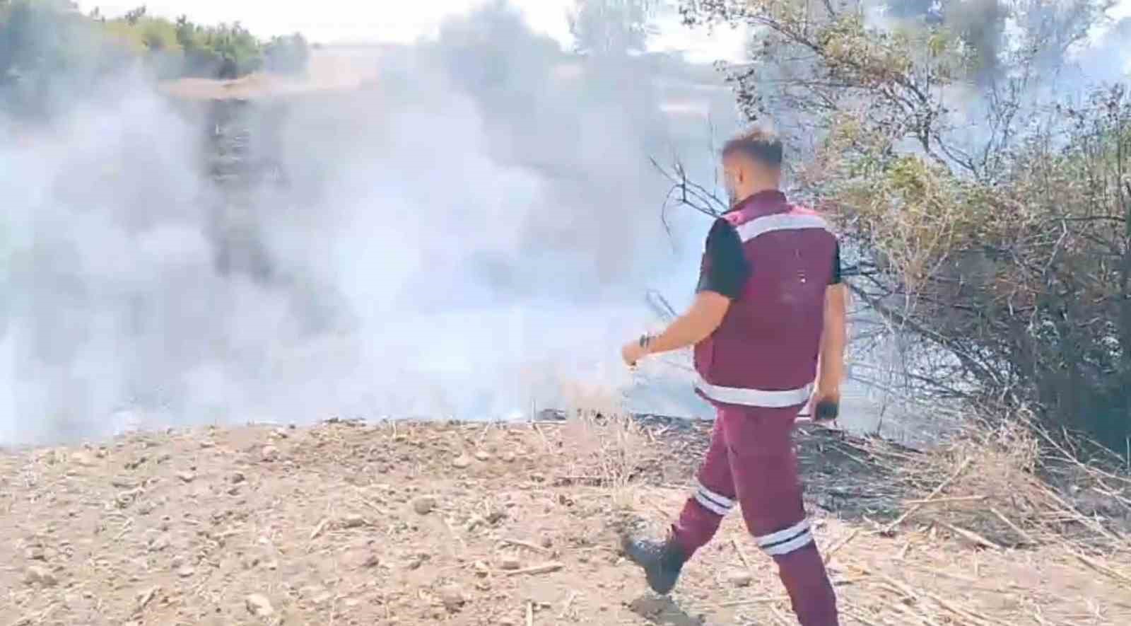 Subaşı’nda ağaçlık alanda yangın
