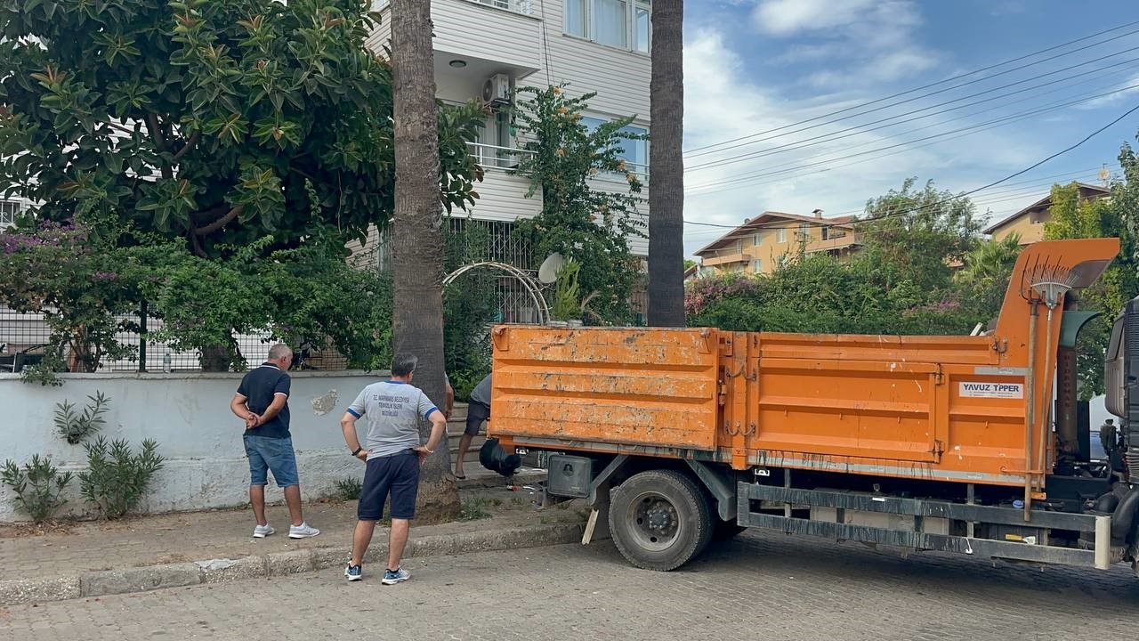 Marmaris’teki çöp evden bir kamyon çöp ve 30’a yakın kedi çıktı