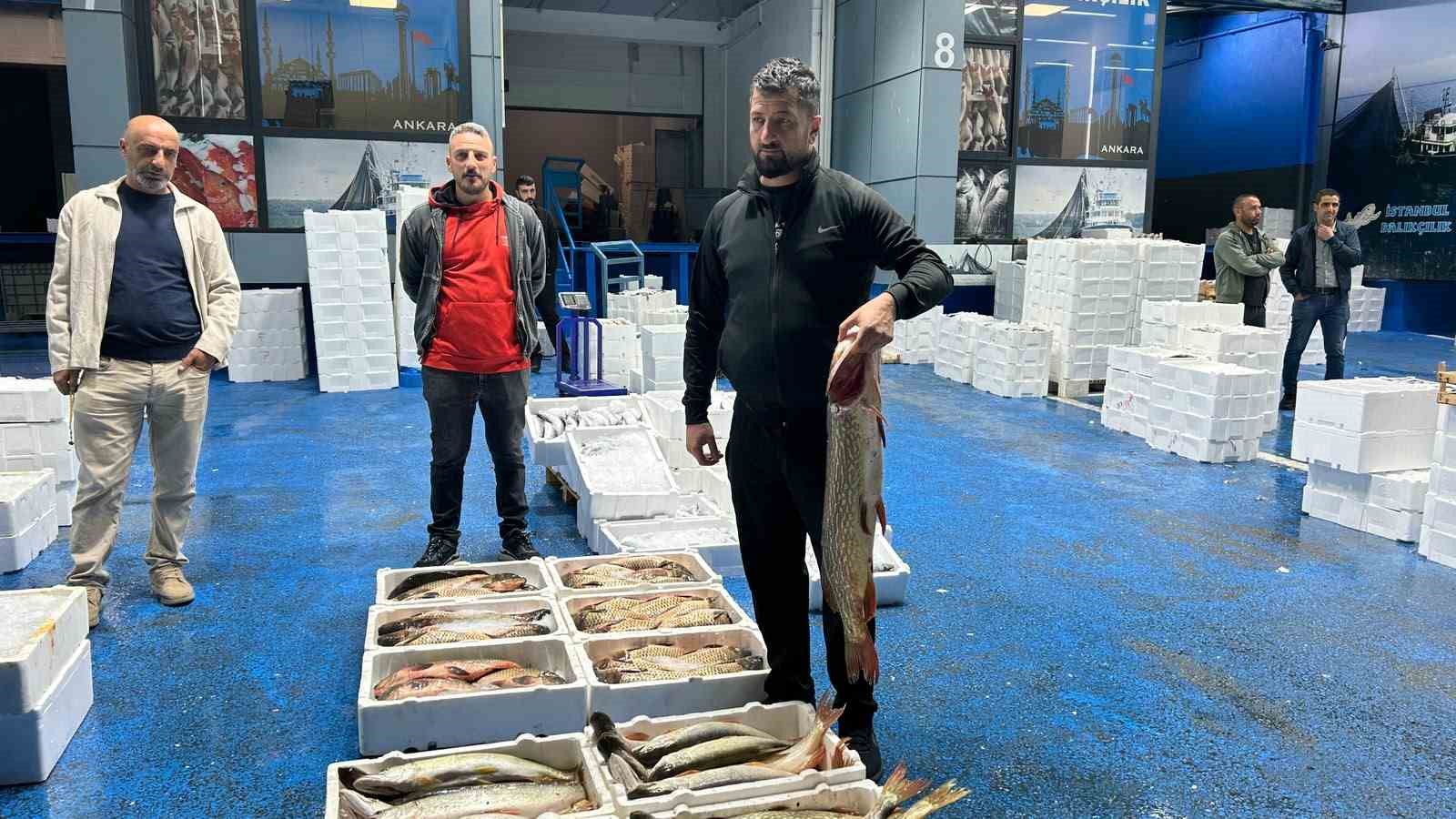 Tarım ve Orman Bakanlığı Ankara İl Müdürü Dallı, Ankara Balık Hali’ni ziyaret etti