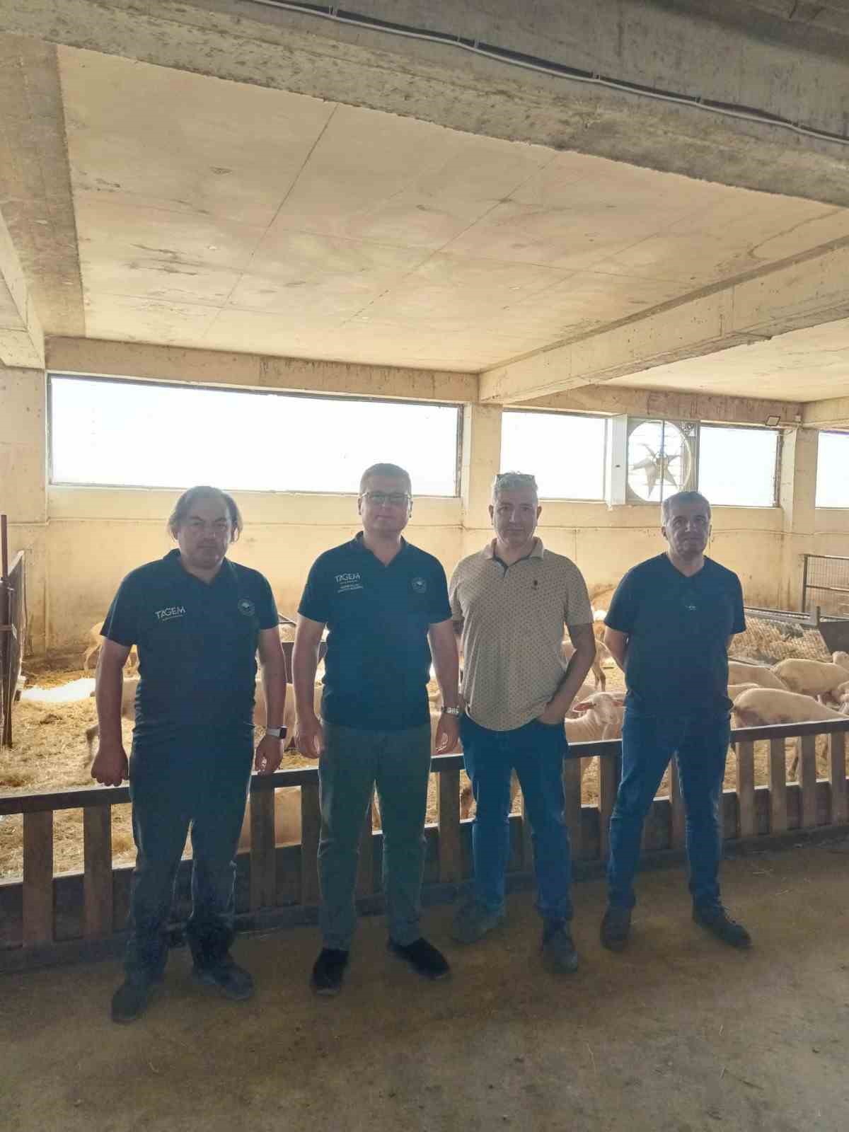 Koyunculuk Araştırma Enstitüsü’nden Manyas’ta üretici ziyaretleri