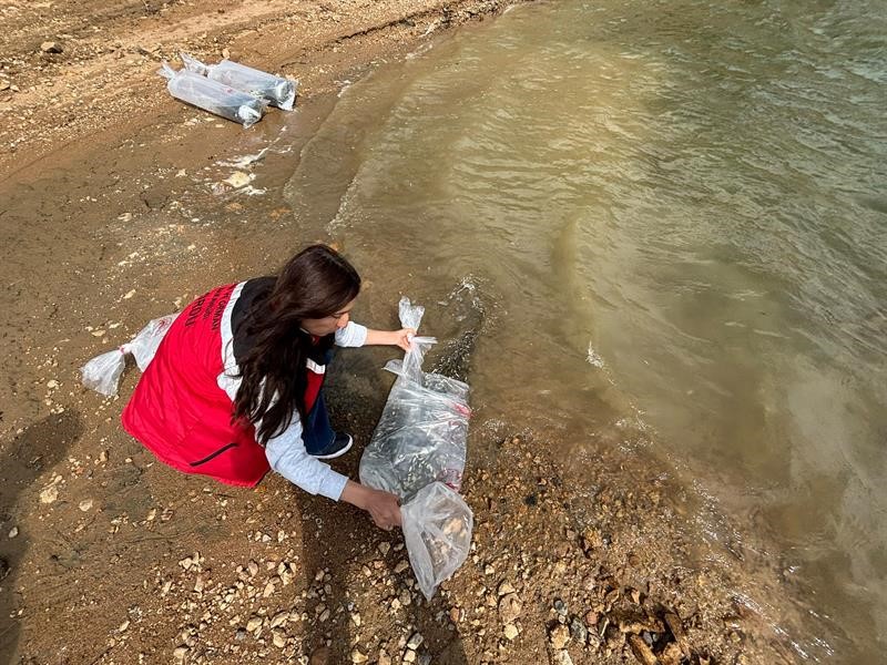 Ordu’daki göl ve göletlere 80 bin yavru sazan bırakıldı