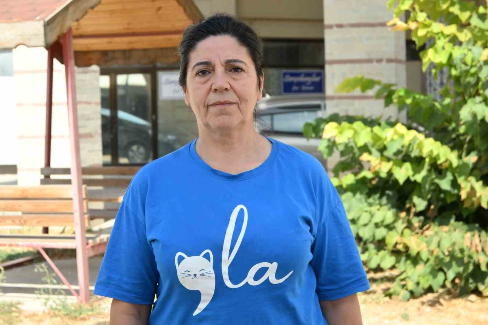 Esnafın beslediği kedi bacakları kesilmiş halde bulundu