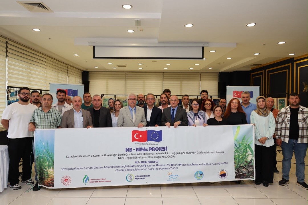 Karadeniz’in deniz çayırları haritalandı