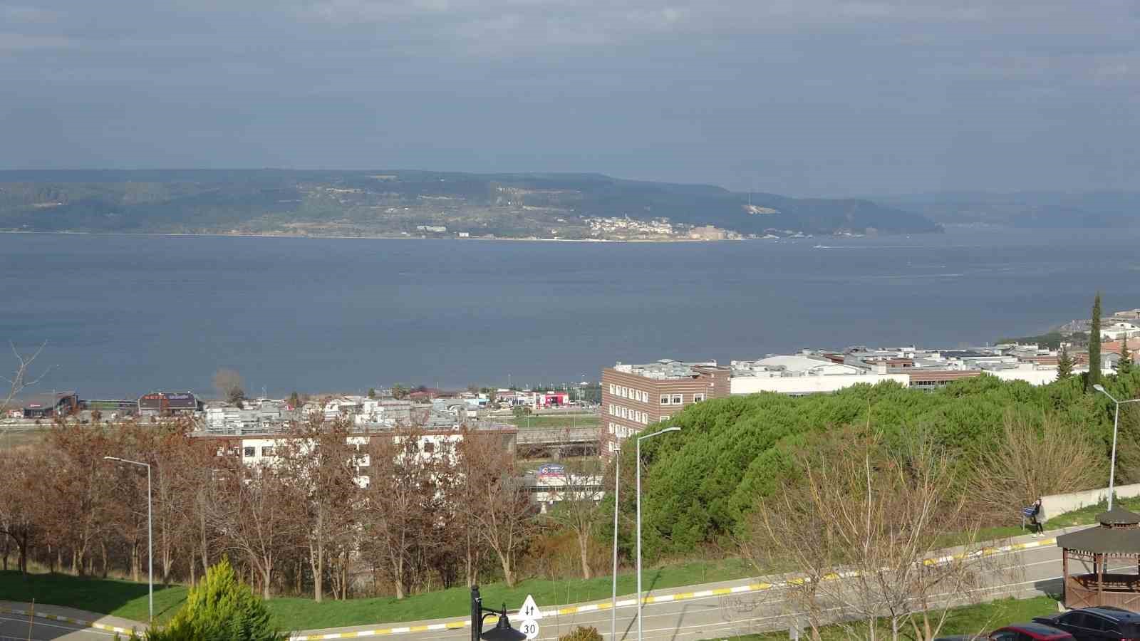 Çanakkale’de mavi denizanaları için önemli uyarı