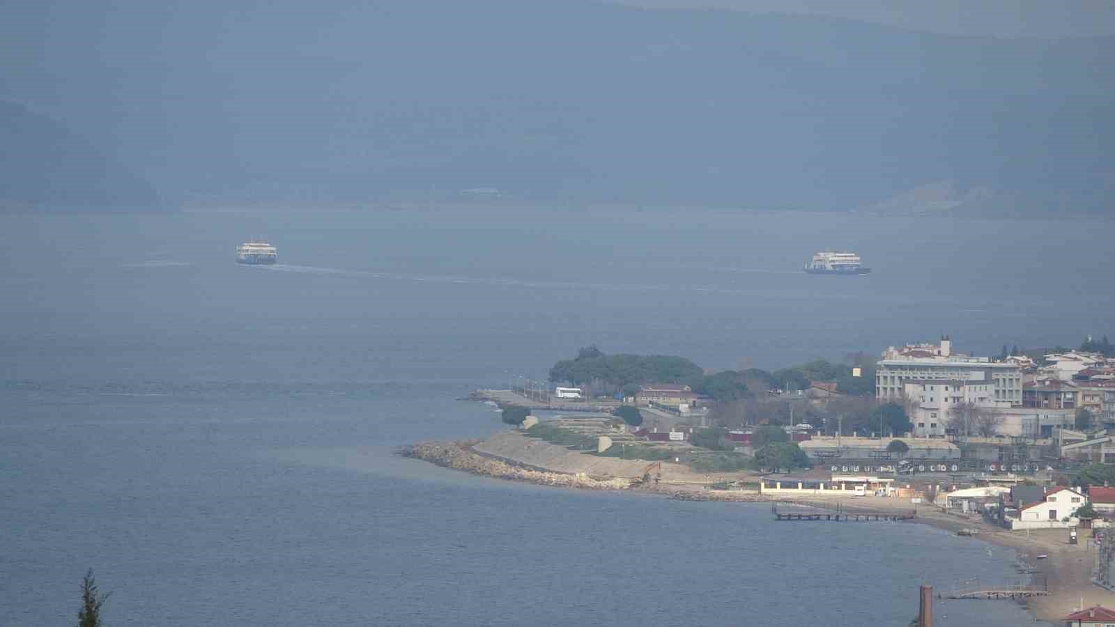 Çanakkale’de mavi denizanaları için önemli uyarı