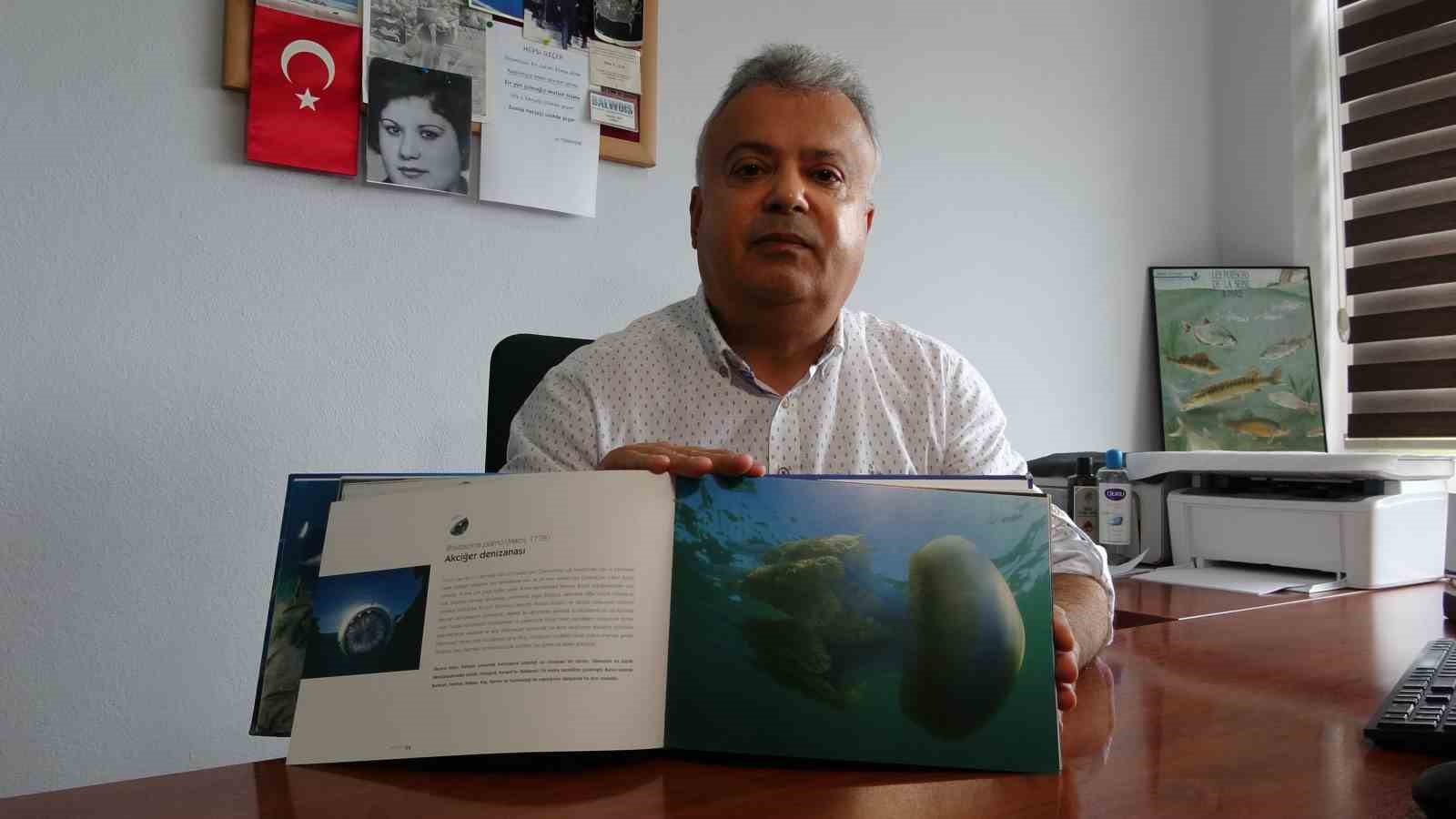 Çanakkale’de mavi denizanaları için önemli uyarı