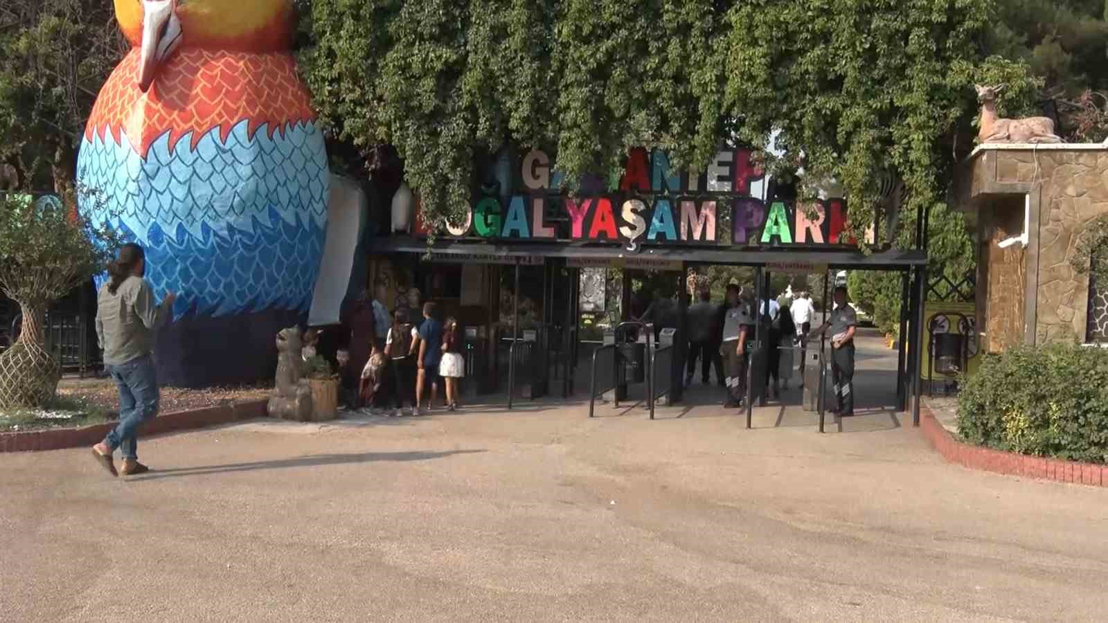 Gaziantep’te ‘Yırtıcı Adası’ heyecanı