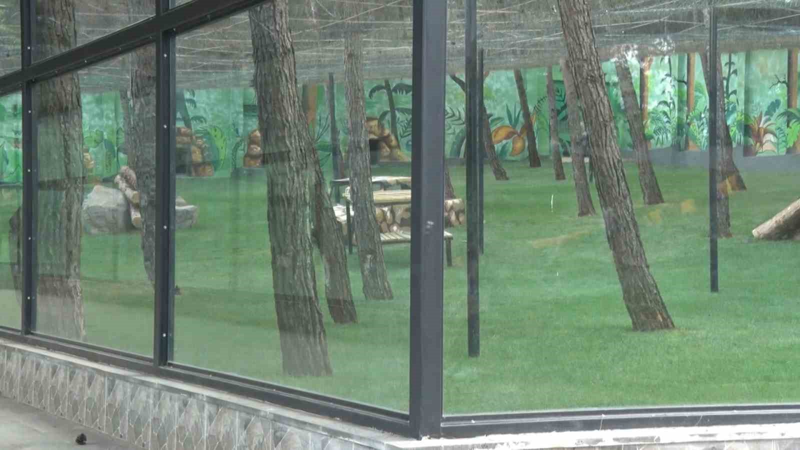 Gaziantep’te ‘Yırtıcı Adası’ heyecanı