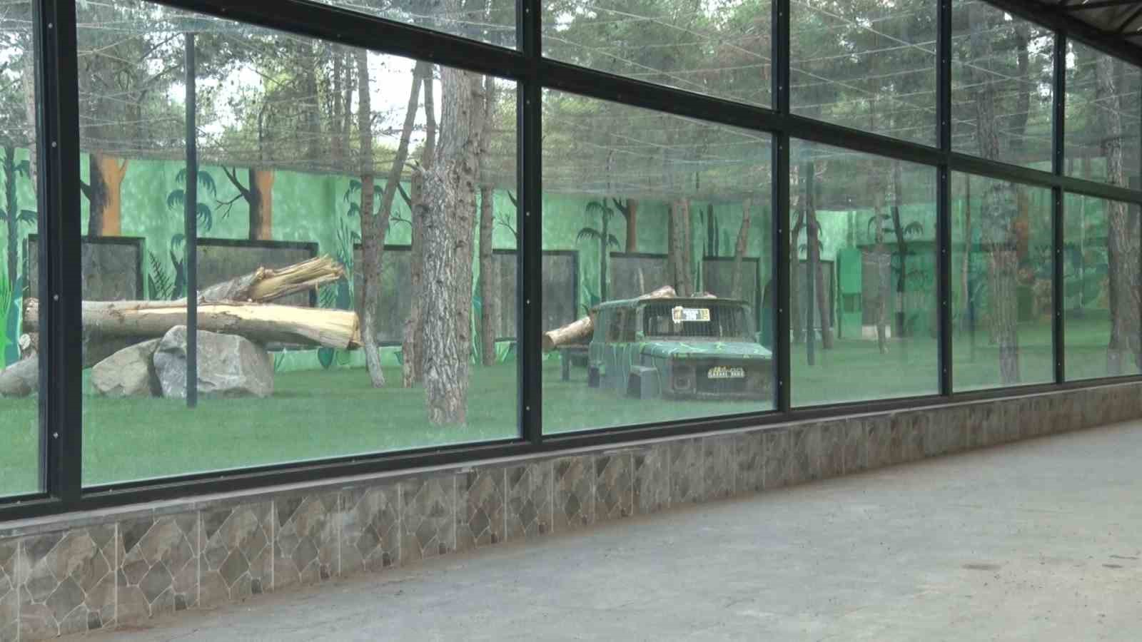 Gaziantep’te ‘Yırtıcı Adası’ heyecanı