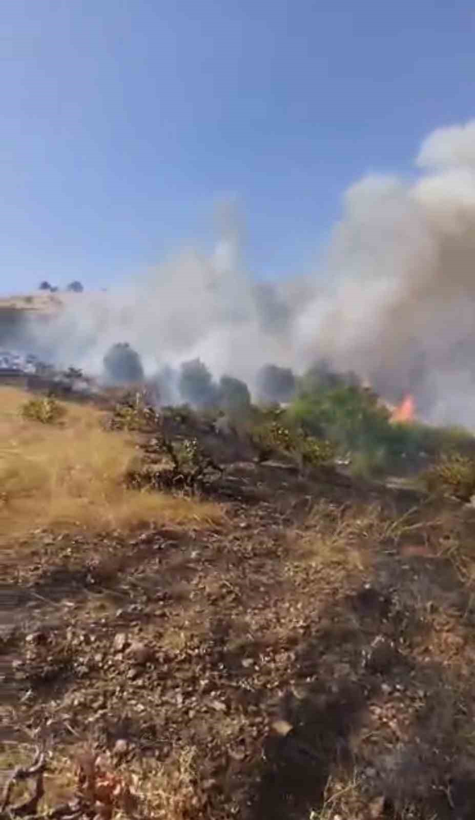 Çüngüş’te çıkan yangın üzüm bağlarına zarar verdi